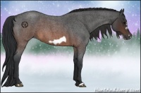 Horse Color:Brown Roan Frame