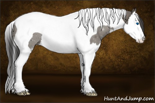Horse Color:Smoky Grullo Splash Tobiano 