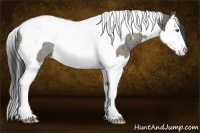 Horse Color:Smoky Grullo Splash Tobiano 