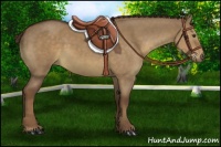 Horse Color:Liver Red Dun 
