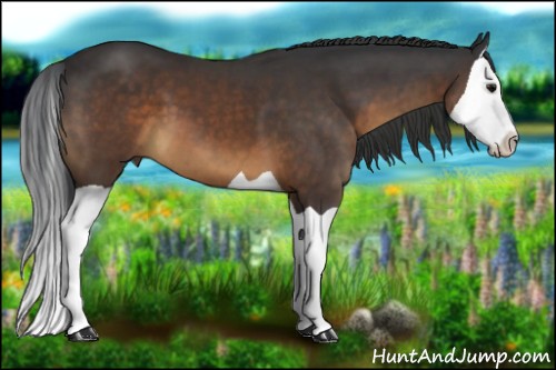 Horse Color:Brown Splash