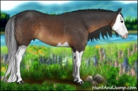 Horse Color:Brown Splash