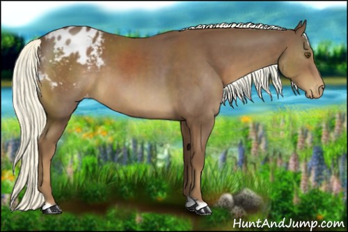 Horse Color:Chestnut Mushroom Varnish