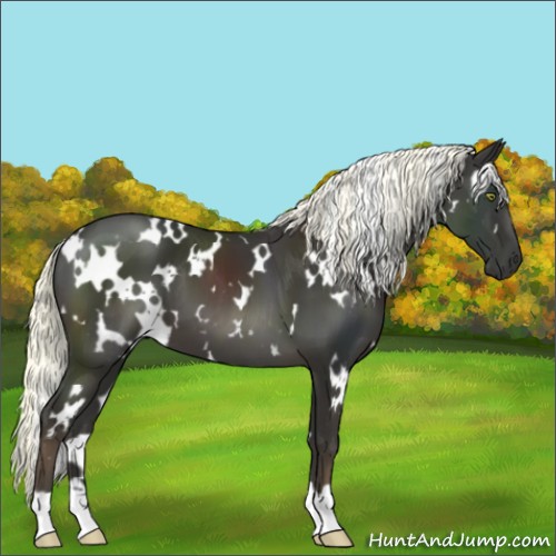 Horse Color:White Spotted Liver Chestnut Mushroom