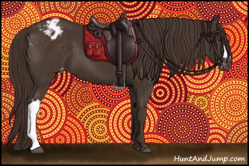 Horse Color:Liver Chestnut Appaloosa 