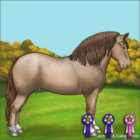 Horse Color:Liver Chestnut Pearl