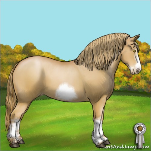 Horse Color:White Spotted Chestnut Pearl Frame