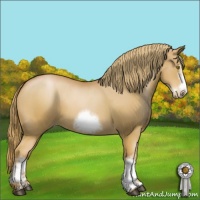 Horse Color:White Spotted Chestnut Pearl Frame