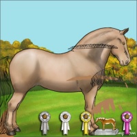 Horse Color:Chestnut Pearl