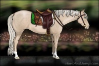 Horse Color:Chocolate Palomino Pearl 