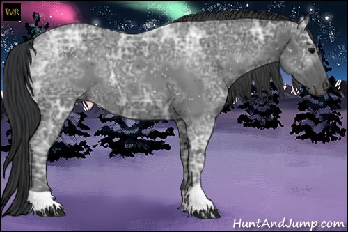 Horse Color:Black Ice 