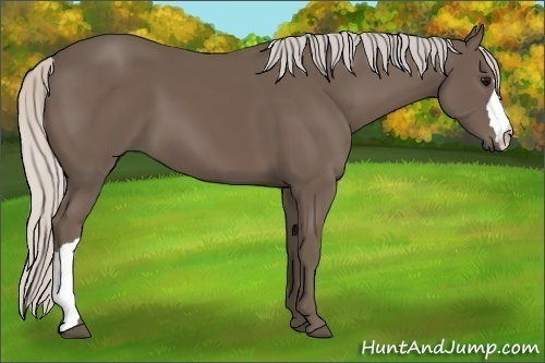 Horse Color:Silver Black 