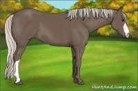 Horse Color:Silver Black 