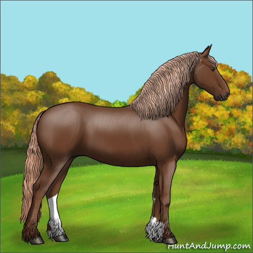 Horse Color:Gray Palomino 