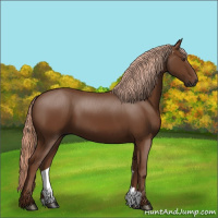 Horse Color:Gray Palomino