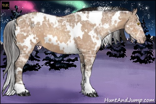 Horse Color:White Spotted Sable Champagne Ice