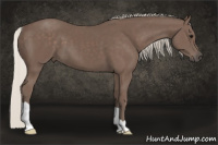 Horse Color:Silver Black 