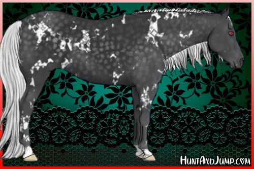 Horse Color:White Spotted Silver Black Chinchilla 