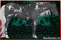 Horse Color:White Spotted Silver Black Chinchilla