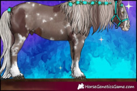 Horse Color:White Spotted Chocolate Brown Splash  and White Spotted Chocolate Silver Black Splash 