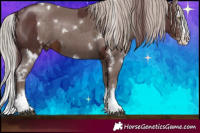 Horse Color:White Spotted Chocolate Brown Splash  and White Spotted Chocolate Silver Black Splash 