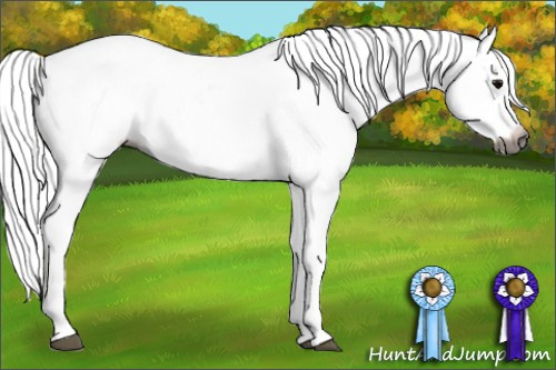 Horse Color:Gray Black Blanket 