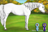 Horse Color:Gray Black Blanket