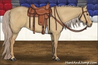 Horse Color:Palomino Dun 