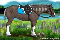 Horse Color:Silver Black 