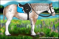 Horse Color:White Spotted Chestnut 
