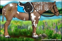 Horse Color:White Spotted Chestnut 