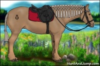 Horse Color:Palomino 