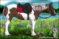 Horse Color:Silver Brown Tobiano 