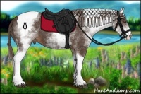 Horse Color:White Spotted Liver Chestnut Tobiano 