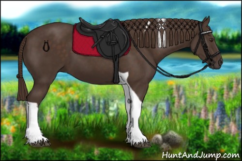 Horse Color:Liver Chestnut Tobiano 