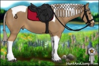 Horse Color:Palomino Sabino Tobiano