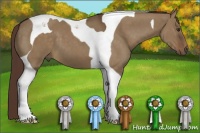 Horse Color:Liver Red Dun Tobiano