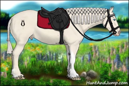 Horse Color:Cremello Tobiano