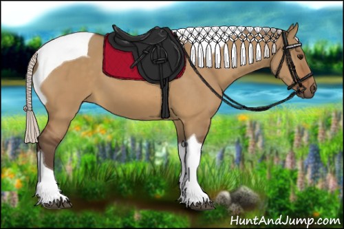 Horse Color:Silver Bay Dun Tobiano 