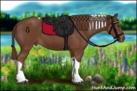Horse Color:Chestnut Tobiano