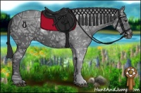 Horse Color:Black Ice 