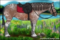Horse Color:Brown Ice