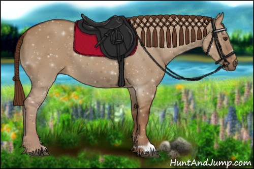 Horse Color:Red Dun 