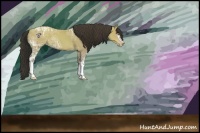 Horse Color:White Spotted Amber Champagne Ice Sabino