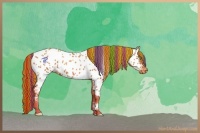 Horse Color:Painted Gold Champagne Sabino Appaloosa