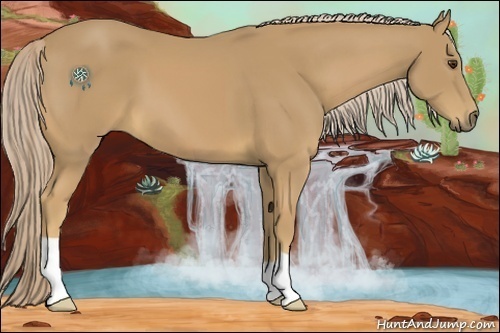 Horse Color:Palomino 