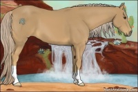 Horse Color:Palomino 
