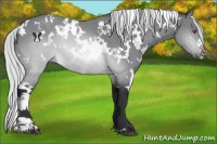 Horse Color:White Spotted Silver Brown Chinchilla 