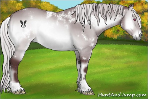Horse Color:White Spotted Chocolate Silver Brown Chinchilla Onyx