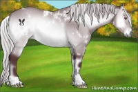 Horse Color:White Spotted Chocolate Silver Brown Chinchilla Onyx 